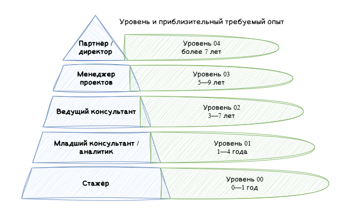 Иерархия уровней в компании